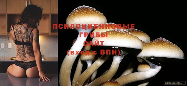 mix Абаза