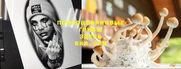 СК Абдулино